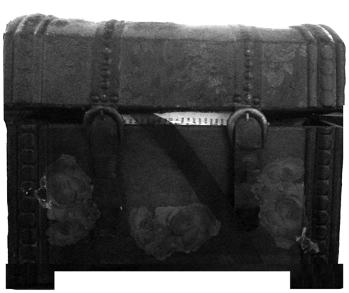 Closed Trunk