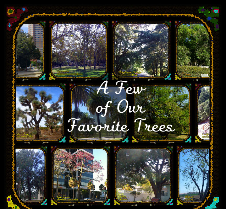 Cover for A Few of Our Favorite Trees